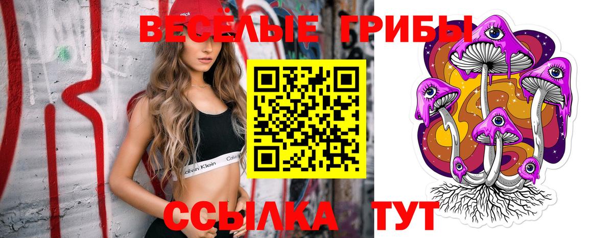 Галлюциногенные грибы MAGIC MUSHROOMS  Вход с VPN  Каменск-Уральский 